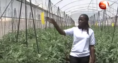 Video report from the opening of the GDC direct use pilot project, Kenya