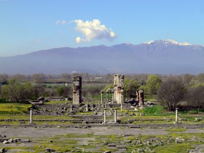 Alman-Yunan jeotermal sera yatırımları ile süs bitkisi üretimi