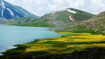 Çaldıran Belediyesi, jeotermal sera kurmak istiyor