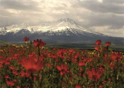 Aksaray’a Jeotermal kaynaklı karbondioksit üretim tesisi kuruluyor